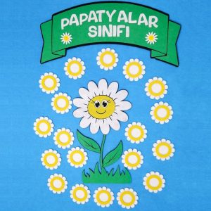 Papatyalar Sınıf Mevcudu (1)