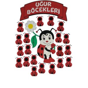 Uğur Böcekleri Sınıf Mevcudu (1)