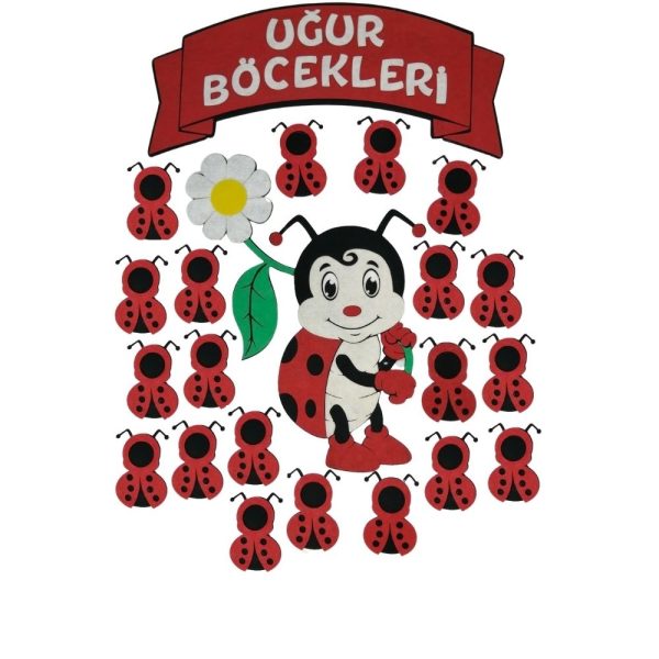 Uğur Böcekleri Sınıf Mevcudu (1)