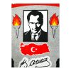 atatürk köşesi zeminli g (2)